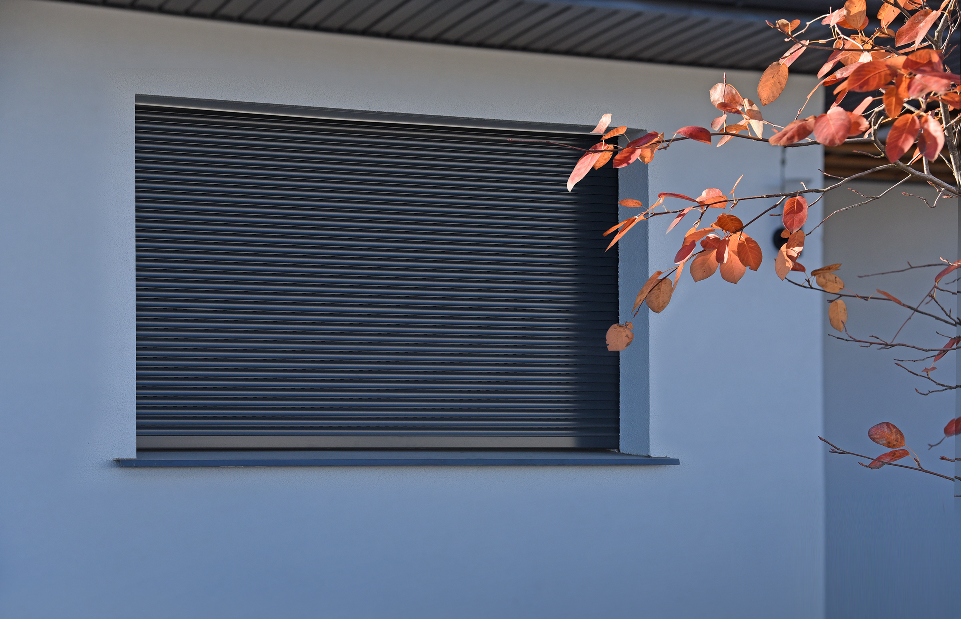 Скидка 15% на роллеты при&nbsp;заказе в шоуруме